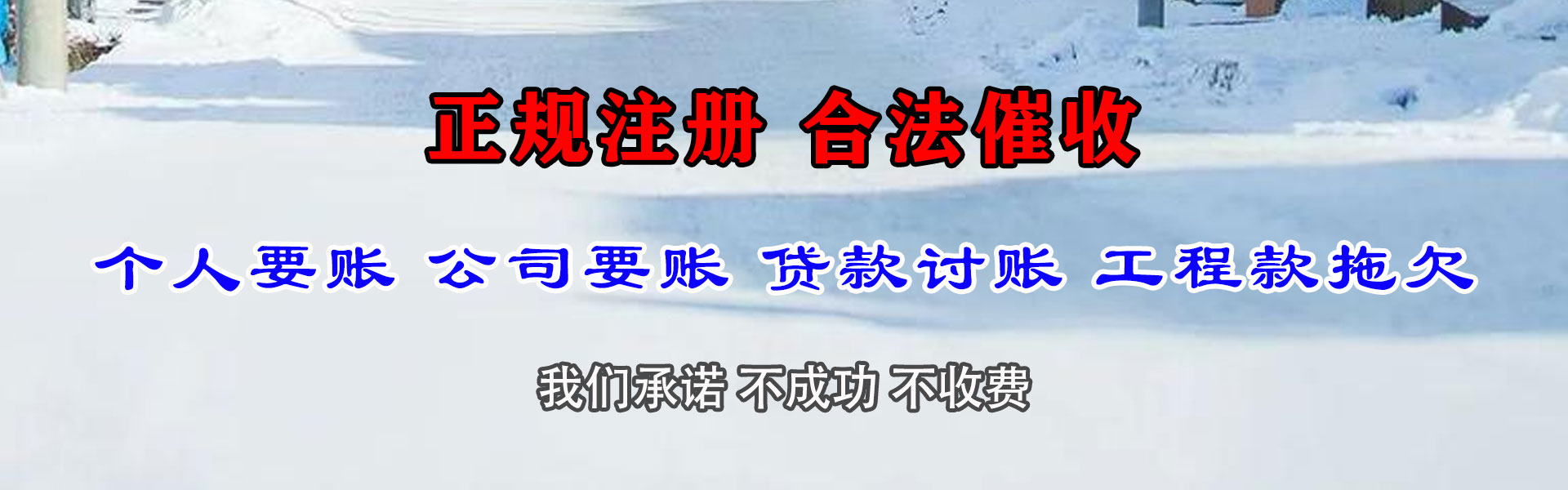 巢湖清债公司